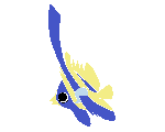 SAZANAMI AQUARIUM