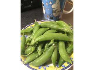 Hiro-Giの自給自足.com