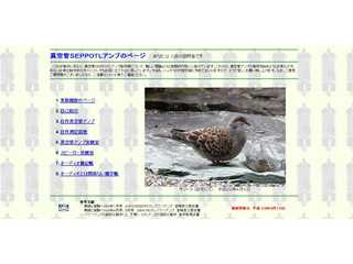 真空管ＳＥＰＰＯＴＬアンプ