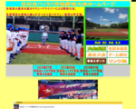 世田谷ハイタク労協野球大会  ―　タクシー 世田谷区 草野球 野球用品専門店若林スポーツ 世田谷草野球ロスヒターノス 東京クバーノス 野球用品専門店若林スポーツ 東京スカーレットブレイズ アパッチ野球軍 世田谷区軟式野球連盟壮年部