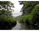 ありきたりの日常に少し花を飾ってみる