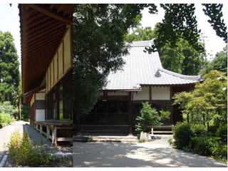 洞仙山眞龍寺
