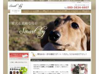 smart dog