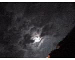 星空鑑賞?Starlit sky appreciation?