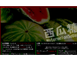 西瓜糖