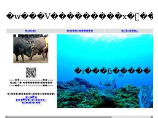 『徳之島樟南会』関西支部