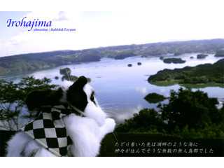 旅うさ2