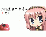太陽系第三惑星のトマト