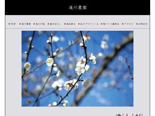 滝川農園　和歌山の梅干し