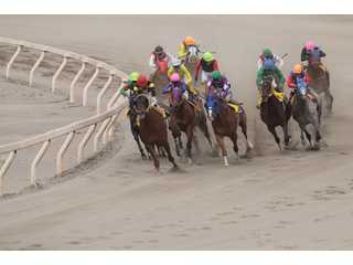 拓海の競馬ノート