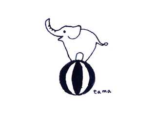 雨玉堂 _tama website