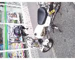 大阪彫夢一門 堺 彫しづ