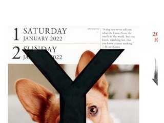 Y