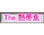 The 熱帯魚