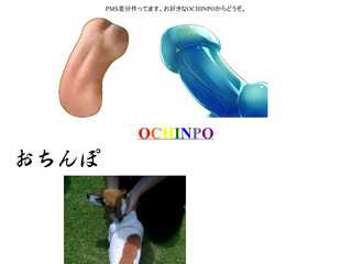 OCHINPMS