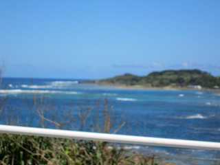 徳之島旅行
