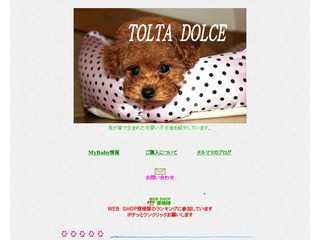 TORTA DOLCE