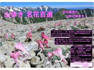山歩き名花百選
