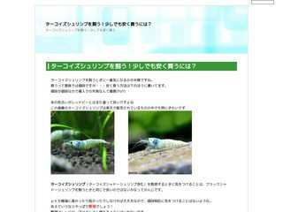 ターコイズシュリンプを飼う！少しでも安く買うには？