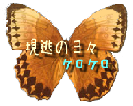 現逃の日々　写真・動画