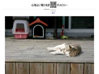 心地よい眠りを誘うウミガメピロー