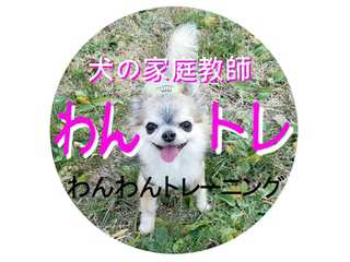 犬の家庭教師　わんトレ