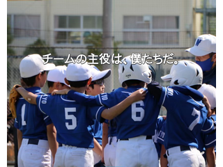ホワイトジュニア