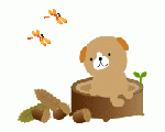絵本の森