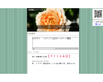 yumemidori web