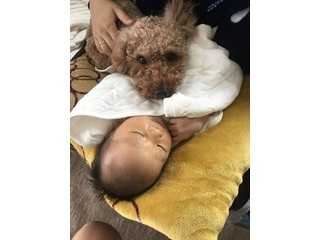 初めての出産と子育て
