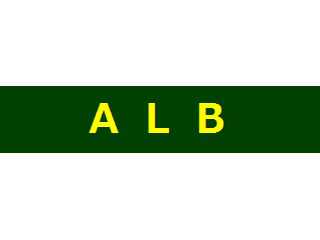 横浜ALB_ITコンサルタント