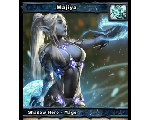 shadowera 戦略 攻略