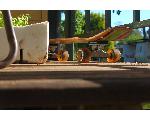 Happiness only real when shared　ウクレレ・本・旅・語学